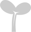 成长指导